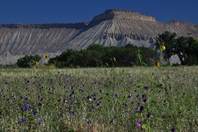 the Book Cliffs